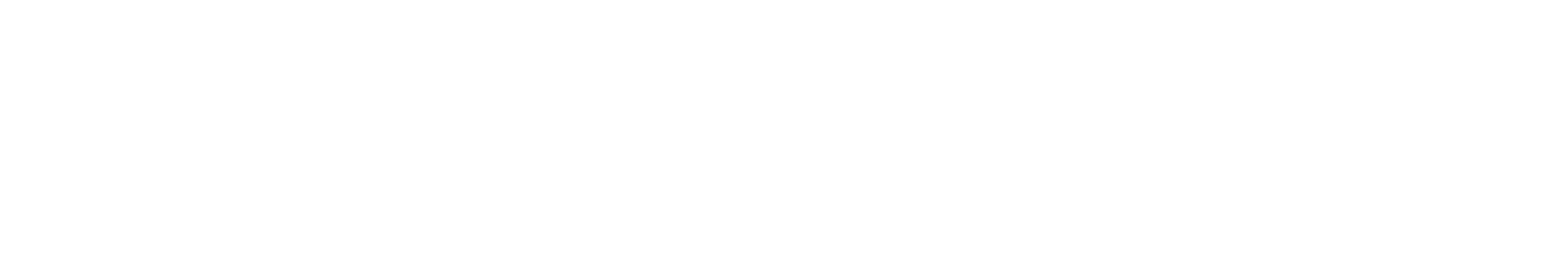 Rheinheimer